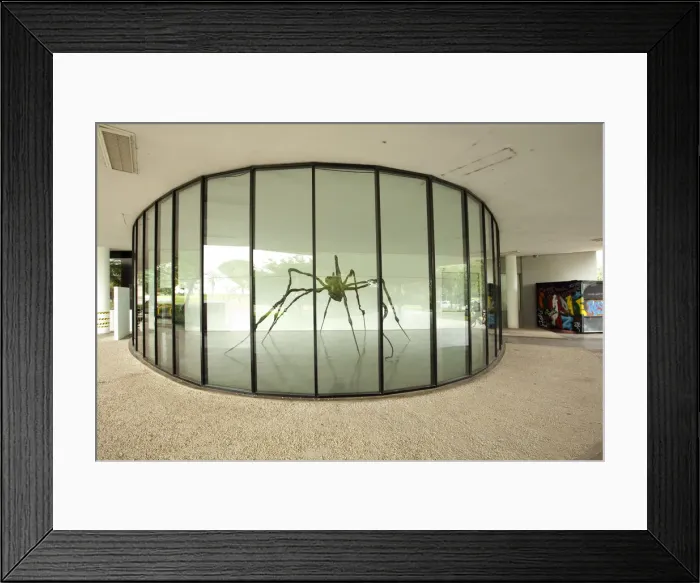Framed Print : South America, Brazil, Sao Paulo, a Louise Bourgeois Spider at the Museum of Modern Art Framed Print : South America, Brazil, Sao Paulo, a Louise Bourgeois Spider at the Museum of Modern Art