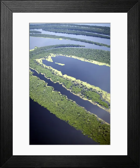 Framed Print : South America, Brazil, Amazon, Aerial view of the UNESCO listed Anavilhanas ecological Framed Print : South America, Brazil, Amazon, Aerial view of the UNESCO listed Anavilhanas ecological