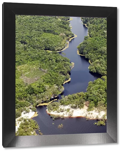 Brazil, Amazon, Aerial view of Amazon forest and a black-water creek (Igarape)