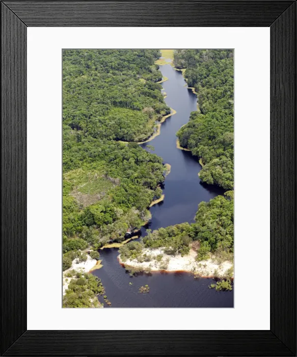 Framed Print : Brazil, Amazon, Aerial view of Amazon forest and a black-water creek (Igarape) Framed Print : Brazil, Amazon, Aerial view of Amazon forest and a black-water creek (Igarape)