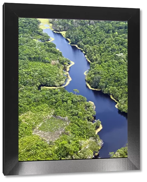 Brazil, Amazon, Aerial view of an igapo (black water creek) in the Amazon forest near