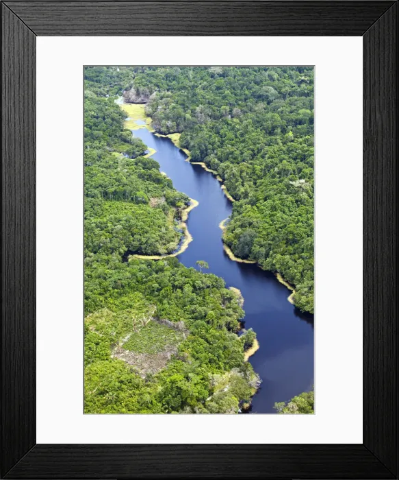 Framed Print : Brazil, Amazon, Aerial view of an igapo (black water creek) in the Amazon forest near Framed Print : Brazil, Amazon, Aerial view of an igapo (black water creek) in the Amazon forest near