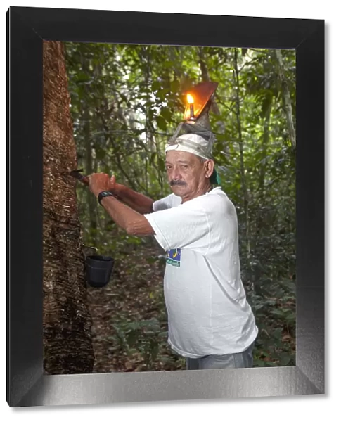 Brazil, Amazon, Acre state, Xapuri, Reserva Extrativista Chico Mendes, Rubber tapper