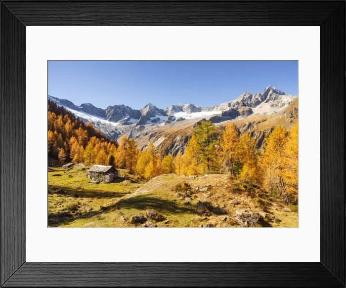 Framed Print : Autumn at Alpe Sentieri, Mount Disgrazia Group, Chiareggio, Valmalenco, Province of Framed Print : Autumn at Alpe Sentieri, Mount Disgrazia Group, Chiareggio, Valmalenco, Province of
