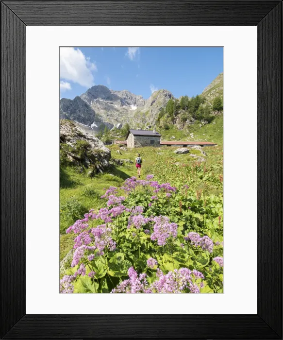 Framed Print : A girl is walking in the Malga Torena in Val Belviso, Province of Sondrio, Valtellina Framed Print : A girl is walking in the Malga Torena in Val Belviso, Province of Sondrio, Valtellina