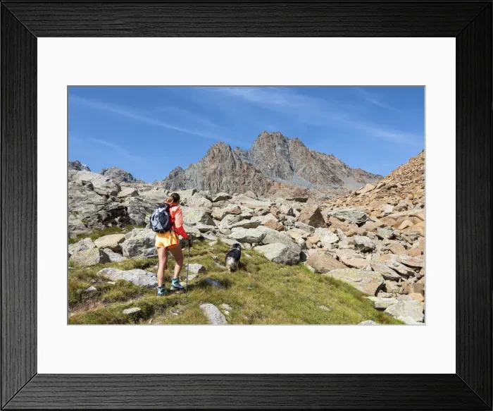 Framed Print : A girl is walking with her dog to lakes of Sassersa in Valmalenco, Province of Sondrio