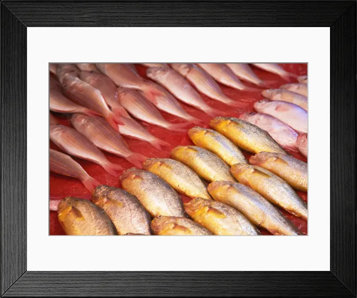 Framed Print : Fish for sale at fish market, Shenzhen, Guangdong Province, China Framed Print : Fish for sale at fish market, Shenzhen, Guangdong Province, China