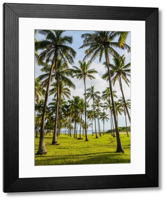 Framed Print : Palm Trees by the Anakena Beach, Easter Island, Chile Framed Print : Palm Trees by the Anakena Beach, Easter Island, Chile