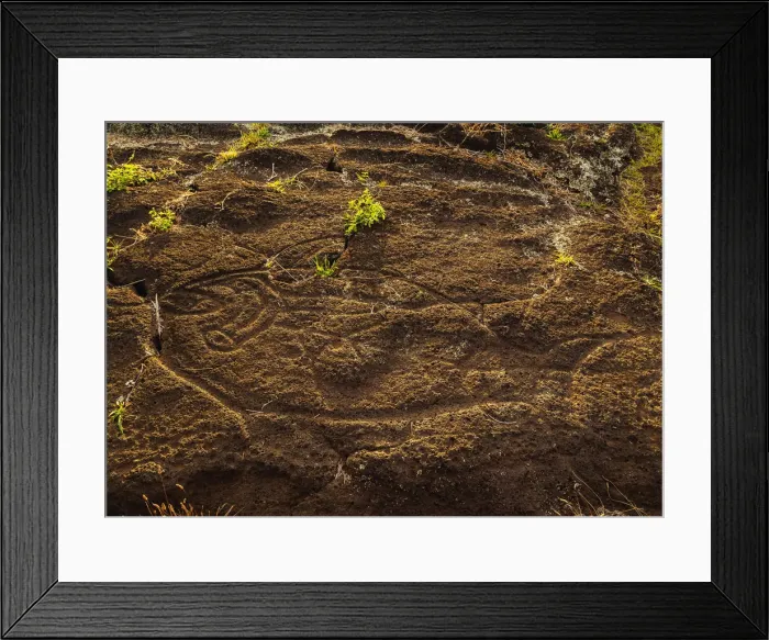 Framed Print : Petroglyphs in Papa Tataku Poki nearby Tongariki, Rapa Nui National Park, Easter Island Framed Print : Petroglyphs in Papa Tataku Poki nearby Tongariki, Rapa Nui National Park, Easter Island