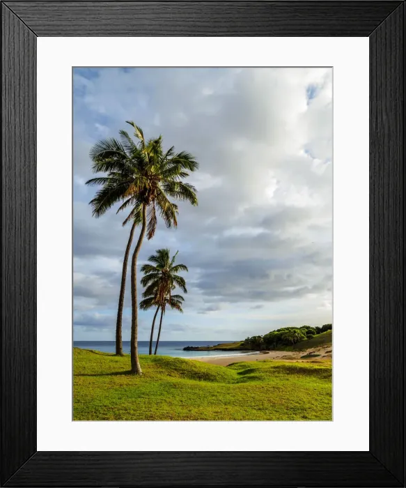 Framed Print : Palm Trees by the Anakena Beach, Easter Island, Chile Framed Print : Palm Trees by the Anakena Beach, Easter Island, Chile