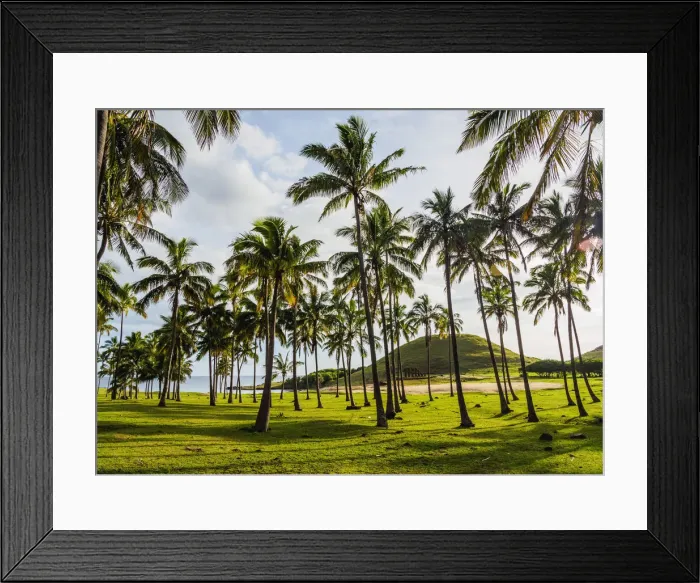 Framed Print : Palm Trees by the Anakena Beach, Easter Island, Chile Framed Print : Palm Trees by the Anakena Beach, Easter Island, Chile