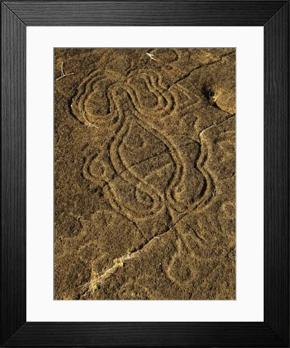 Framed Print : Octopus Petroglyph Papa Mangai in Papa Vaka, Rapa Nui National Park, Easter Island