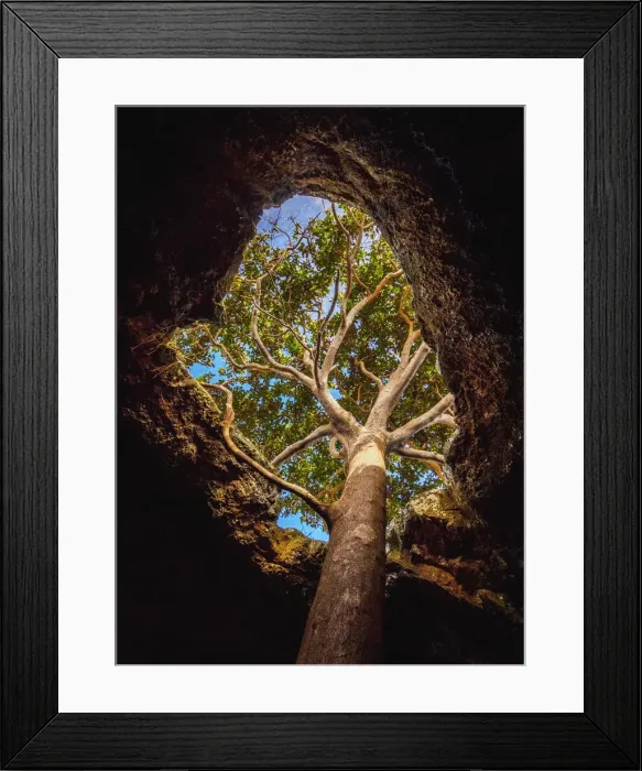 Framed Print : Ana Te Pahu Cave, Rapa Nui National Park, Easter Island, Chile Framed Print : Ana Te Pahu Cave, Rapa Nui National Park, Easter Island, Chile