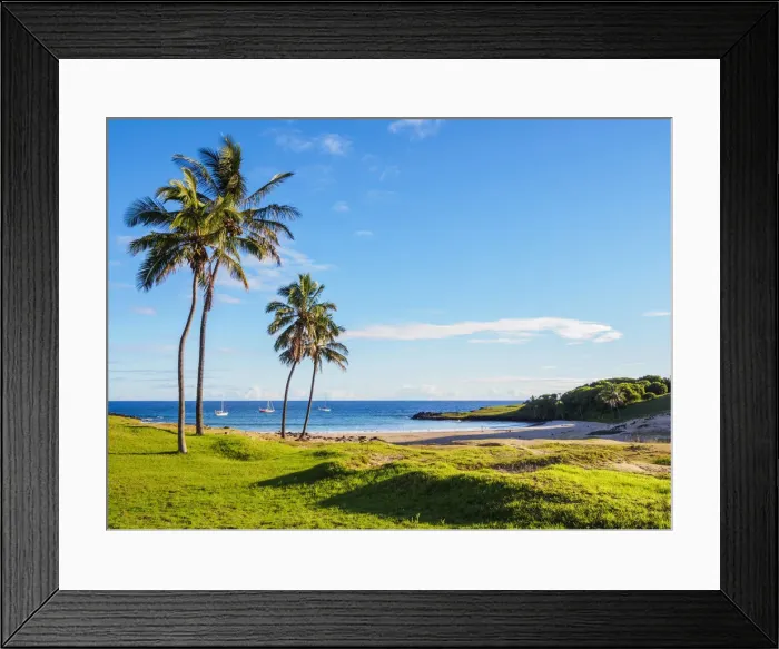 Framed Print : Palm Trees by the Anakena Beach, Easter Island, Chile Framed Print : Palm Trees by the Anakena Beach, Easter Island, Chile
