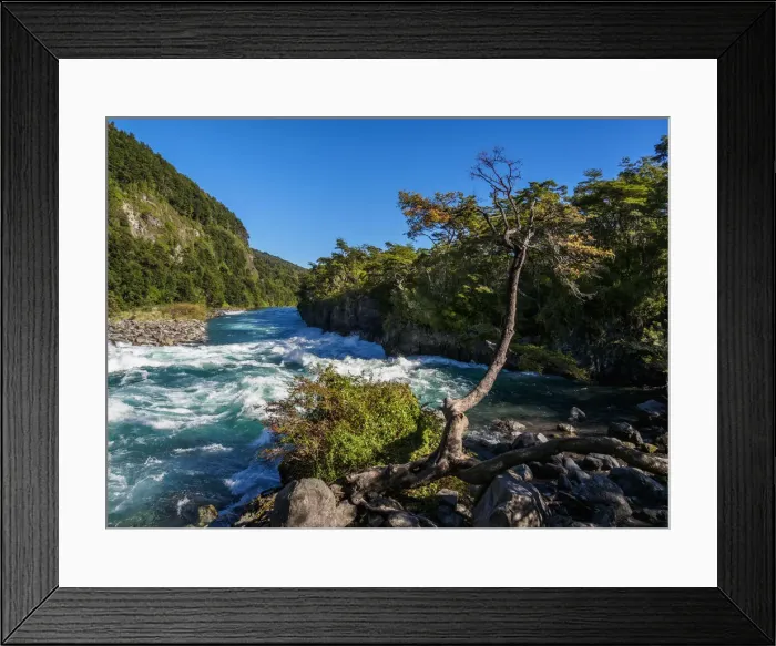 Framed Print : Petrohue River, Petrohue, Llanquihue Province, Los Lagos Region, Chile Framed Print : Petrohue River, Petrohue, Llanquihue Province, Los Lagos Region, Chile