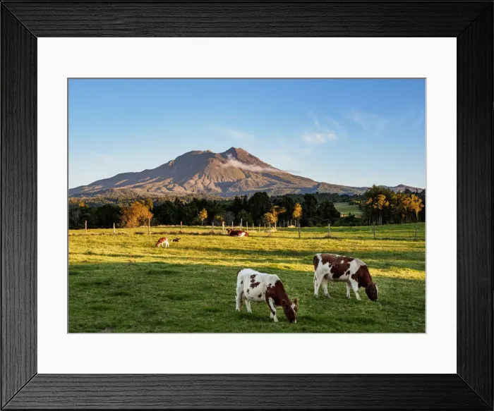 Framed Print : Calbuco Volcano, Llanquihue Province, Los Lagos Region, Chile Framed Print : Calbuco Volcano, Llanquihue Province, Los Lagos Region, Chile