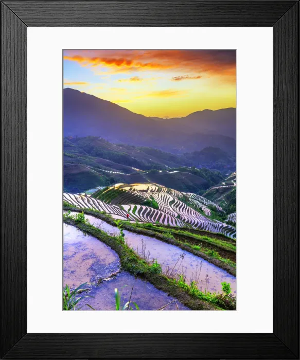 Framed Print : China, Guangxi Province, Longsheng, Long Ji rice terrace filled with water in Framed Print : China, Guangxi Province, Longsheng, Long Ji rice terrace filled with water in