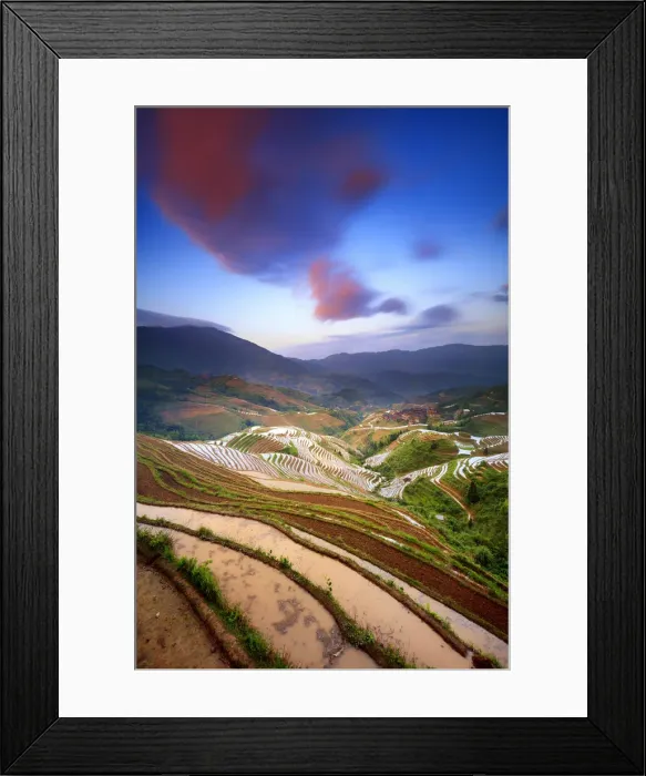 Framed Print : China, Guangxi Province, Longsheng, Long Ji rice terrace filled with water in Framed Print : China, Guangxi Province, Longsheng, Long Ji rice terrace filled with water in