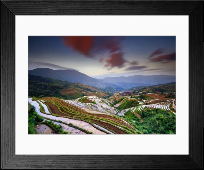 Framed Print : China, Guangxi Province, Longsheng, Long Ji rice terrace filled with water in Framed Print : China, Guangxi Province, Longsheng, Long Ji rice terrace filled with water in