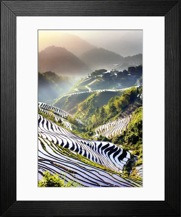 Framed Print : China, Guangxi Province, Longsheng, Long Ji rice terrace filled with water in Framed Print : China, Guangxi Province, Longsheng, Long Ji rice terrace filled with water in