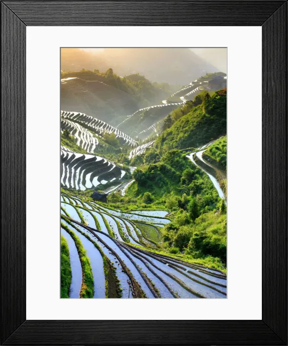 Framed Print : China, Guangxi Province, Longsheng, Long Ji rice terrace filled with water in Framed Print : China, Guangxi Province, Longsheng, Long Ji rice terrace filled with water in