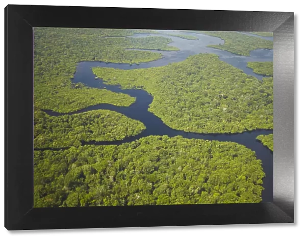 Aerial view of Amazon Rainforest and tributary of Rio Negro, Manaus, Amazonas, Brazil