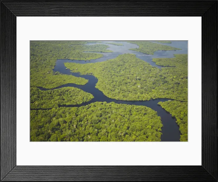 Framed Print : Aerial view of Amazon Rainforest and tributary of Rio Negro, Manaus, Amazonas, Brazil Framed Print : Aerial view of Amazon Rainforest and tributary of Rio Negro, Manaus, Amazonas, Brazil