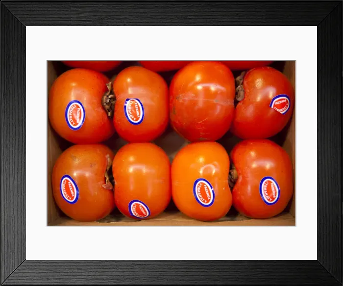 Framed Print : South America, Brazil, Sao Paulo, Persimmon, caqui, fruit for sale in the Sao Paulo Framed Print : South America, Brazil, Sao Paulo, Persimmon, caqui, fruit for sale in the Sao Paulo