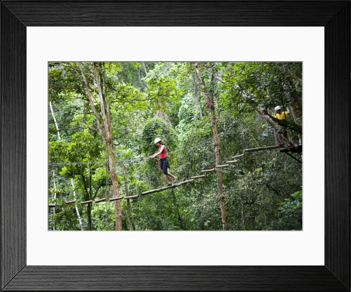 Framed Print : South America, Brazil, Goias, Pirenopolis, treetop adventures in the Fazenda Vagafogo Framed Print : South America, Brazil, Goias, Pirenopolis, treetop adventures in the Fazenda Vagafogo