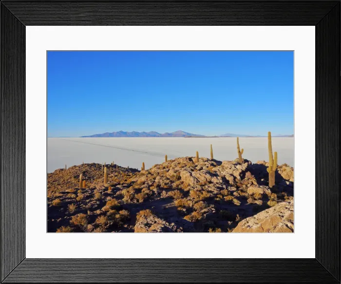 Framed Print : Bolivia, Potosi Department, Daniel Campos Province, Salar de Uyuni, View of the Incahuasi Framed Print : Bolivia, Potosi Department, Daniel Campos Province, Salar de Uyuni, View of the Incahuasi