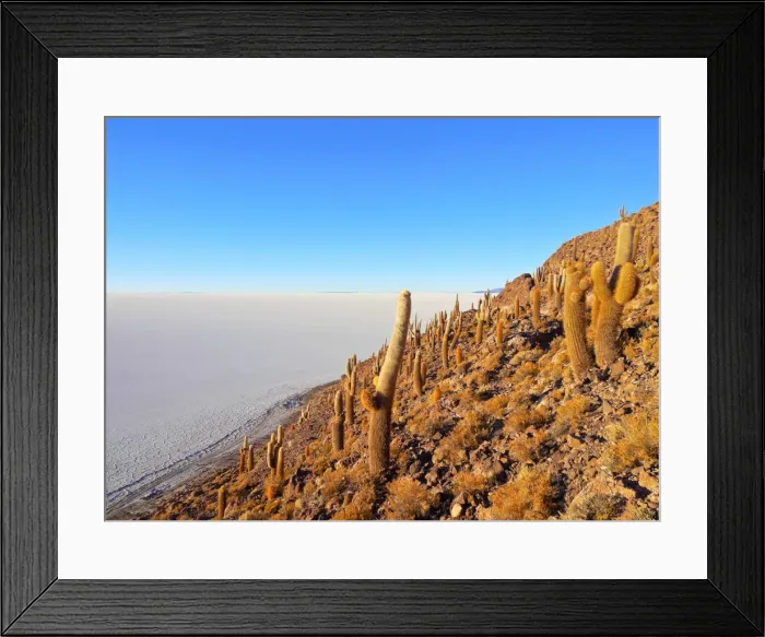 Framed Print : Bolivia, Potosi Department, Daniel Campos Province, Salar de Uyuni, View of the Incahuasi Framed Print : Bolivia, Potosi Department, Daniel Campos Province, Salar de Uyuni, View of the Incahuasi