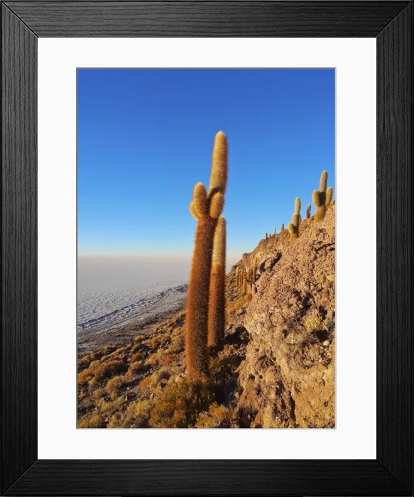 Framed Print : Bolivia, Potosi Department, Daniel Campos Province, Salar de Uyuni, View of the Incahuasi Framed Print : Bolivia, Potosi Department, Daniel Campos Province, Salar de Uyuni, View of the Incahuasi