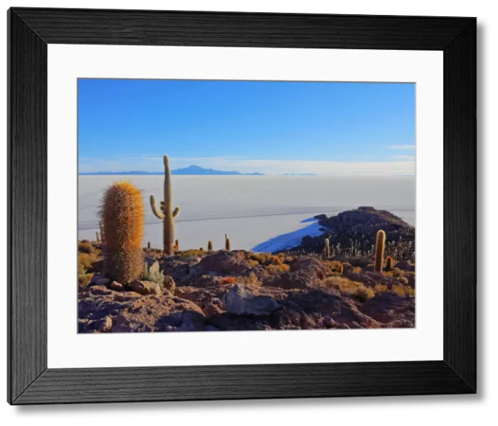 Framed Print : Bolivia, Potosi Department, Daniel Campos Province, Salar de Uyuni, View of the Incahuasi Framed Print : Bolivia, Potosi Department, Daniel Campos Province, Salar de Uyuni, View of the Incahuasi