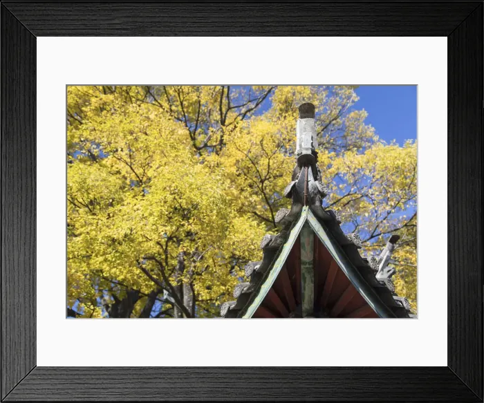 Framed Print : Pavilion at Wen Chang Palace, Lijiang (UNESCO World Heritage Site), Yunnan, China Framed Print : Pavilion at Wen Chang Palace, Lijiang (UNESCO World Heritage Site), Yunnan, China