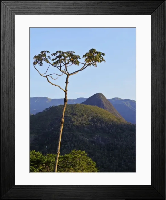 Framed Print : Brazil, State of Rio de Janeiro, View of the mountains near Petropolis Framed Print : Brazil, State of Rio de Janeiro, View of the mountains near Petropolis