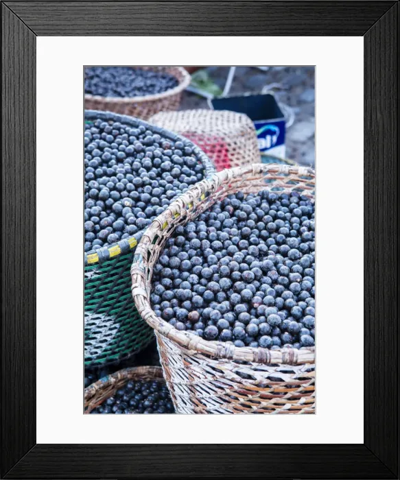 Framed Print : South America, Brazil, Para state, Belem, Acai berries on sale in the morning market Framed Print : South America, Brazil, Para state, Belem, Acai berries on sale in the morning market