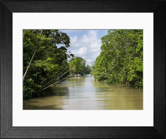 Framed Print : South America, Brazil, Para state, Belem, an igarape (creek) lined with varzea forest Framed Print : South America, Brazil, Para state, Belem, an igarape (creek) lined with varzea forest