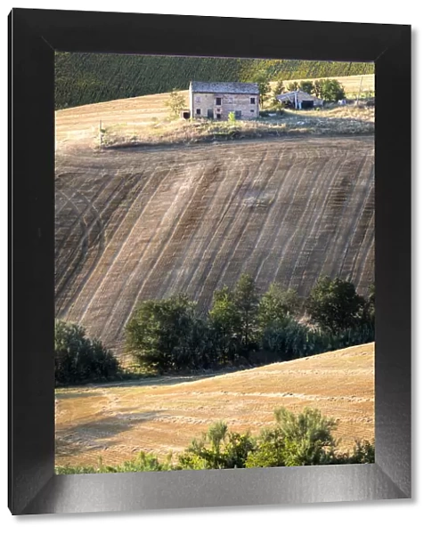 Marchigians rural landscape, Morrovalle village, Macerata district, The Marches