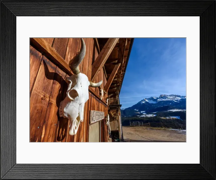 Framed Print : skull of cow at Alpine farm, Trentino Alto Adige region, Dolomites Alps, Italy, Europe Framed Print : skull of cow at Alpine farm, Trentino Alto Adige region, Dolomites Alps, Italy, Europe