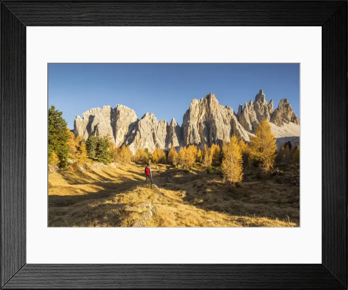 Framed Print : The west walls of Mount Croda da Lago, Giau Pass, Belluno district, Veneto, Italy (MR) Framed Print : The west walls of Mount Croda da Lago, Giau Pass, Belluno district, Veneto, Italy (MR)
