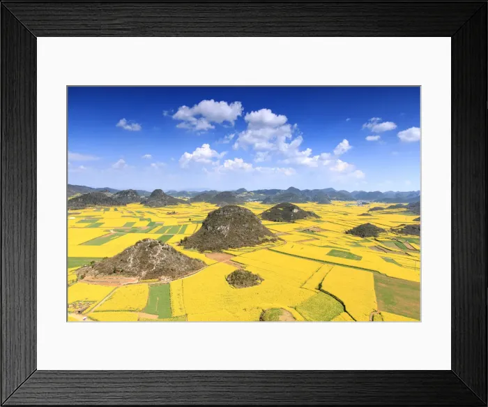 Framed Print : Rapeseed flowers of Luoping in Yunnan China Framed Print : Rapeseed flowers of Luoping in Yunnan China