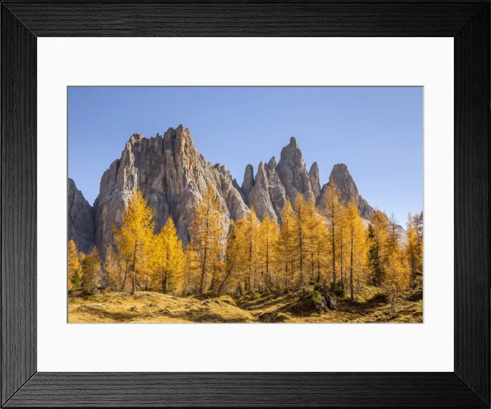 Framed Print : The west walls of Mount Croda da Lago, Giau Pass, Belluno district, Veneto, Italy Framed Print : The west walls of Mount Croda da Lago, Giau Pass, Belluno district, Veneto, Italy