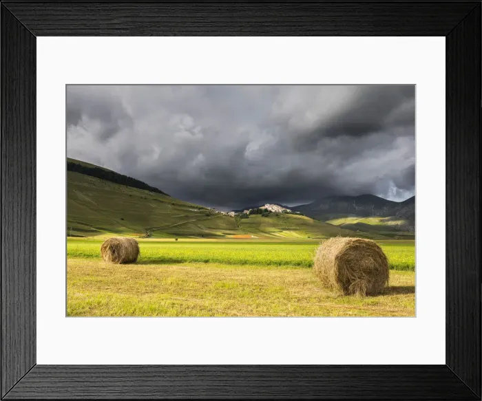 Framed Print : Flowering in Castelluccio di Norcia village, Perugia district, Umbria, Italy
