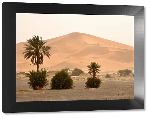 A big sand dunes in the desert of Erg Chebbi, Sahara. Morocco, North Africa