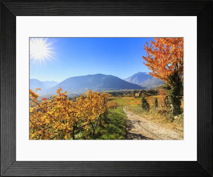 Framed Print : A oad between vineyards leads to Ramez Castle Framed Print : A oad between vineyards leads to Ramez Castle