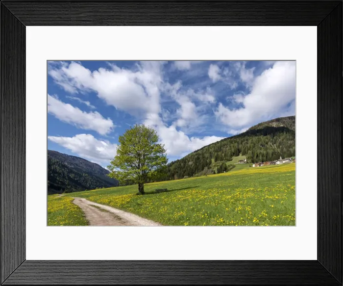 Framed Print : Europe, Italy, Trentino, Trento province, Fassa Valley, Moena district, Dolomites Framed Print : Europe, Italy, Trentino, Trento province, Fassa Valley, Moena district, Dolomites