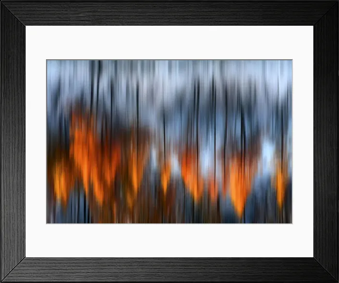Framed Print : Orsiera Rocciavre Park, Chisone Valley, Piedmont, Italy. Larches impressions of light Framed Print : Orsiera Rocciavre Park, Chisone Valley, Piedmont, Italy. Larches impressions of light