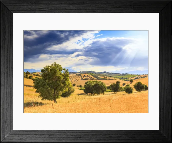 Framed Print : A beam of sunlight filtered through the clouds above the cultivated fields above Framed Print : A beam of sunlight filtered through the clouds above the cultivated fields above