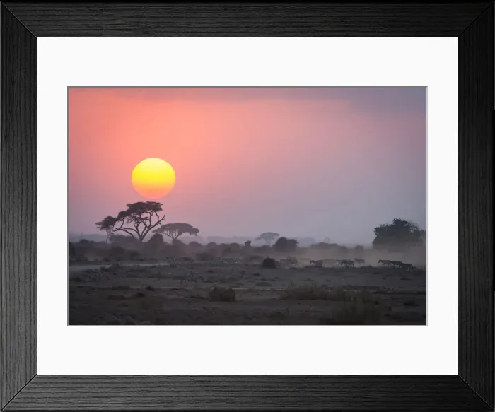 Framed Print : Kenya, Africa, Sunset at Amboseli National Park