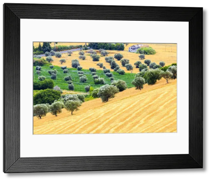 Framed Print : Ancient farmland in the cultivated fields of Cologna Paese, Abruzzo, Italy Framed Print : Ancient farmland in the cultivated fields of Cologna Paese, Abruzzo, Italy